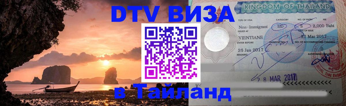 Сколько стоит DTV виза — актуальные цены, оформление даже без документов - Кишинёв  04.10.2025 
